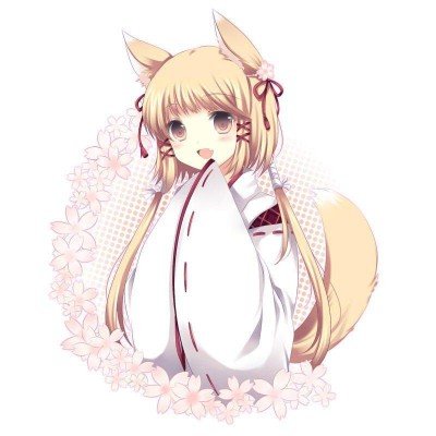 15斤的小猫把床压塌了